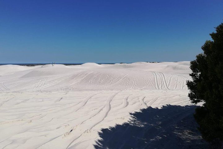  Guided hiking and environmental education: Atlantis Sand Dunes  - Photo 1 of 4